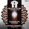 Quarantine System (Original Mix) - Octavio Capodieci