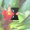 Guzmania - Samlight