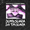 Domnisoara Din Timisoara - Eli&Puya&George Hora&Studio 66