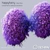 Black Rose (Marcos Valiente Remix) - Happyharry&Marcos Valiente