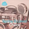 Check (Original Mix) - 5prite&Umid
