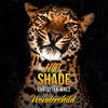 Wonderchild - Hot Shade&Christian Walz