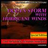 Wetlands After the Summer Storm: Natural Sounds - Amadeus