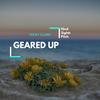 Geared Up (Original Mix) - Micky Clark