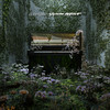 Fireflies - Stephan Moccio