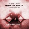 Now or Never(feat. Treesha & Denham Smith) (Calligra Remix) - DJ Olde&Pyros&Calligra&Treesha&Denham Smith