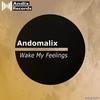 Wake My Feelings (Original Mix) - Andomalix