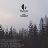 Detection (Original Mix) - Steel Force