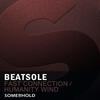 Fast Connection (Original Mix) - Beatsole