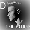 I Know You Are Sexy (Radiocut) - Ted Bridge