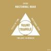 Nocturnal Road - Caira