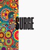 Surge - Marcus Damon