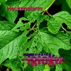 Heckenalarm - Trick 17