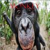 MONKEY (feat. Riddick) (Explicit) - D1lk&Riddick