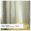 Sagacity (Anton Dhouran Remix) - Madloch
