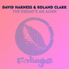 The Deejay's An Alien (The Layabouts Reprise) - The Layabouts&Roland Clark&David Harness