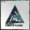 Flower of Pleasure (Extended Mix) - Paolo Maffia