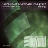Shining (Original Mix) - Sky Flight&Carl Overnet
