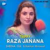 Raza Janana Tappy - Bakhan Minawal&Sheena Gul