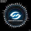 Equinox (Original Mix) - Project 8