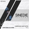 Distortion (Original Mix) - Ravok