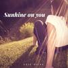 Sunshine on You - Luis Silva