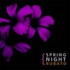 Spring Night - Rubato