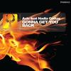 Gonna Get You Back feat Nadia Gattas (Asle Dub) - Asle&Nadia Gattas