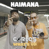 Haimana - Cortes&What's Up&Ciprian Blaga&Cosmin Dobrescu