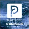 Welcome Back (Original Mix) - Crossfingers