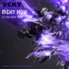 Right Now (Extended Mix) - VEKY