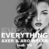 Everything (Radio Edit) - AXER&Aro Wyler&TG