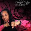 Your Luv (Explicit) - Orlando Octave