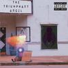 Looking for Safety(feat. J.O.E.) (Live|Explicit) - The Triumphant Angel&J.O.E.