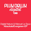 Evergreen (Original Mix) - Manuel Le Saux&Digital Nature