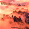 Moments of Life (Alex Fibonacci Remix) - Lessika&Alex Fibonacci