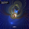Fool's Paradise Feat. AJ (Original Mix) - Roonie
