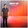 Artist Retrospective (Continuous Mix) - Mango