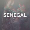 Senegal - Lumberjack&Jim Zerga&Chris Vallee