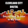 In My Soul - Secret Sinz&Jaax