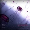 Polaroid (Matt Dwellers Remix) - Emorine&Matt Dwellers