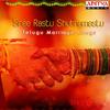 Sree Rastu Shubhamastu(From 