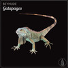 Galapagos - Beyhude