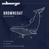 Seven Sins (SEQU3l Remix) - Browncoat