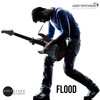 Flood - Andy Whitmore&John Isle