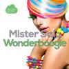 Wonderboogie - Mister Salo