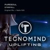 Starfall (Radio Edit) - Puresoul