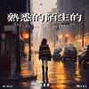 熟悉的陌生的 - 林怡婕