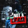 Not A Scam(feat. Qm Sam) (Explicit) - Bali Ky&QM Sam