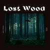 Lost wood - Air J